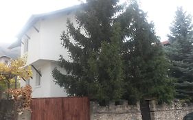 Guest House Khizhina