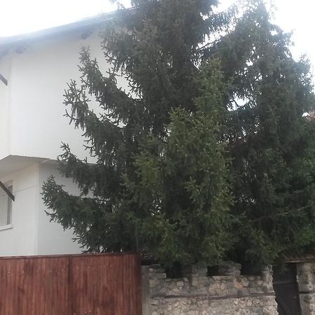 Guest House Khizhina Sapareva Banya Extérieur photo